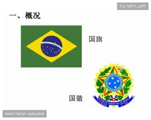 2026世界杯哥伦比亚与葡萄牙比赛国旗设计及其象征意义解析